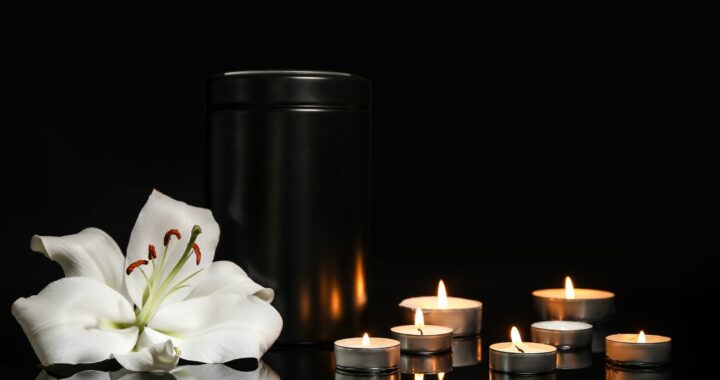 bayview funeral albert lea obituaries