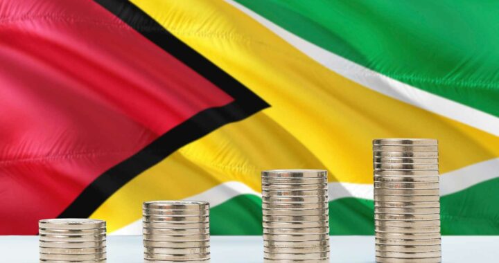 how to invest in guyana