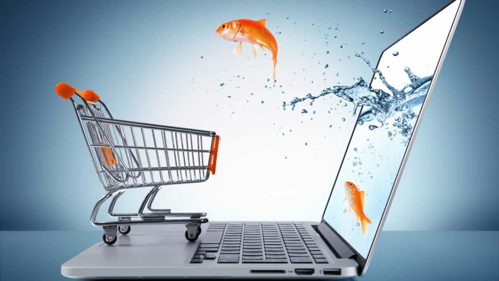 how to invest in e commerce