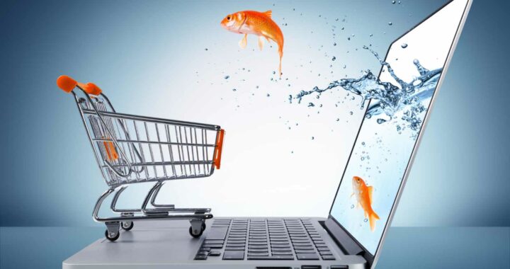 how to invest in e commerce