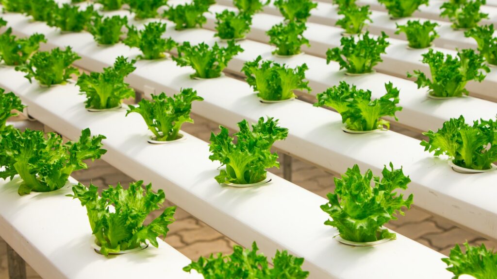 how to invest in vertical farming